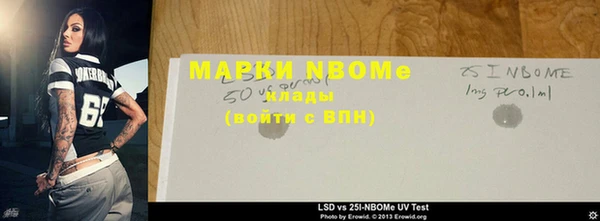 прущие грибы Тобольск